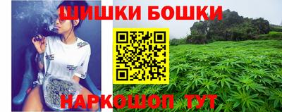 ГАЛЛЮЦИНОГЕННЫЕ ГРИБЫ Канаш
