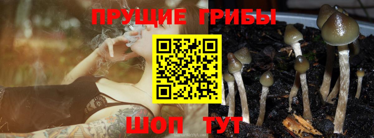 Псилоцибиновые грибы Magic Shrooms Краснознаменск